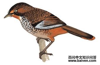 ������̵�ͼ��