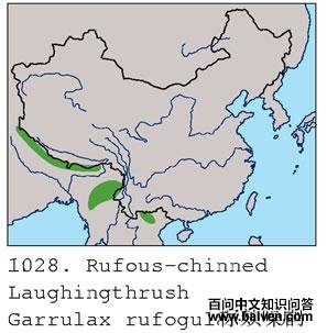 ������̵ĵ����ֲ�ͼ