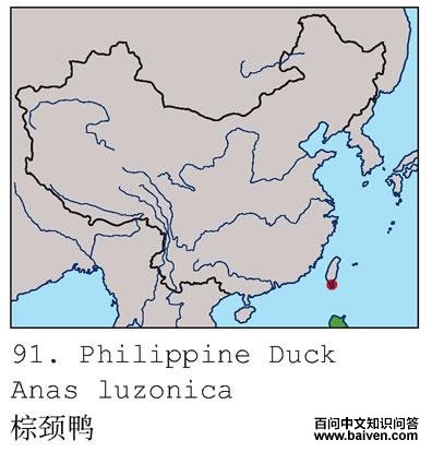 �ؾ�Ѽ�ĵ����ֲ�ͼ