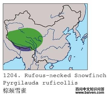 �ؾ�ѩȸ�ĵ����ֲ�ͼ