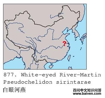 ���ۺ���ĵ����ֲ�ͼ