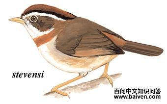 �غ�ȸ�̵�ͼ��