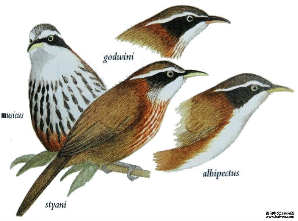 �ؾ������̵�ͼ��