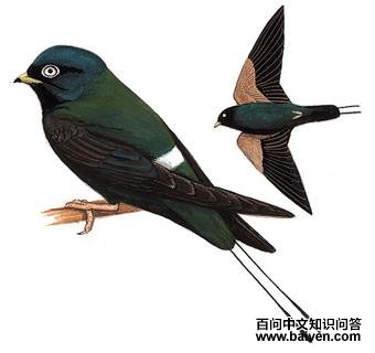 ���ۺ����ͼ��