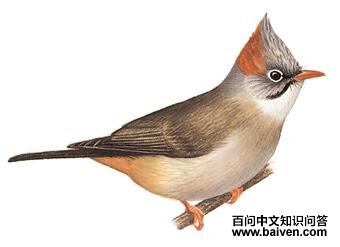 �ظط��̵�ͼ��