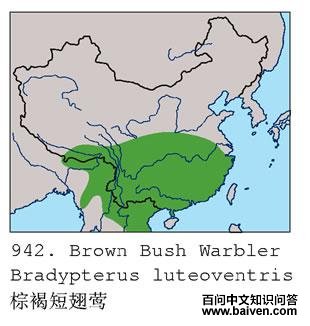 �غֶ̳�ݺ�ĵ����ֲ�ͼ