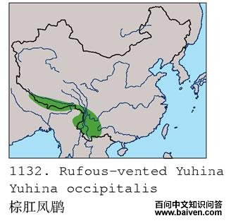 �ظط��̵ĵ����ֲ�ͼ