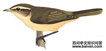 �ظ���ݺ��ͼ��