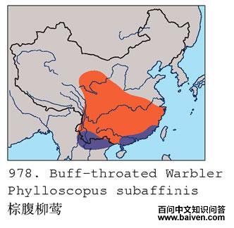 �ظ���ݺ�ĵ����ֲ�ͼ