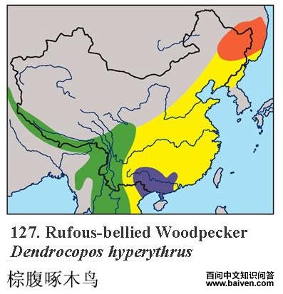 �ظ���ľ��ĵ����ֲ�ͼ