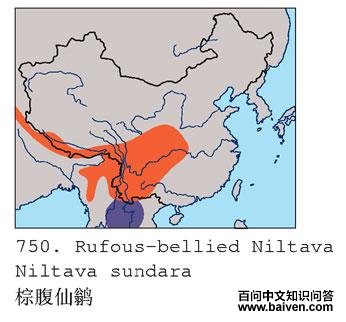 �ظ����l�ĵ����ֲ�ͼ