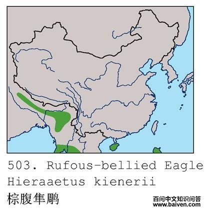 �ظ�����ĵ����ֲ�ͼ