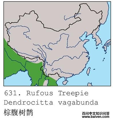 �ظ���ȵ�ĵ����ֲ�ͼ