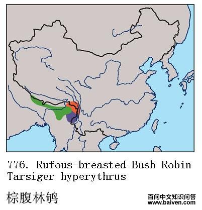 �ظ����ĵ����ֲ�ͼ