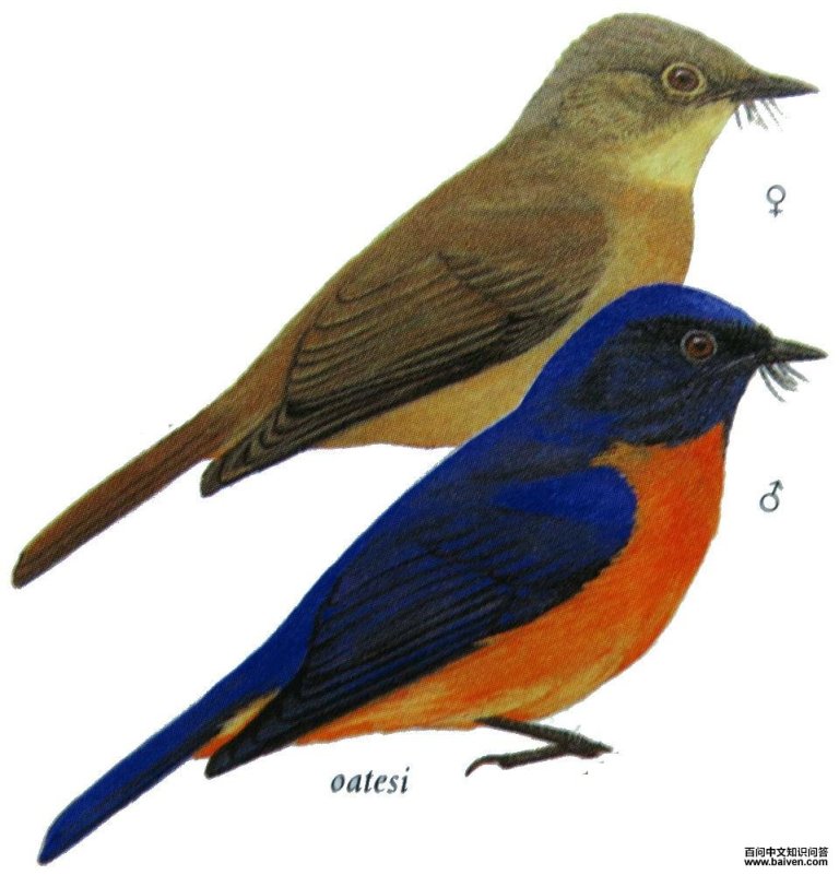 �ظ������l��ͼ��