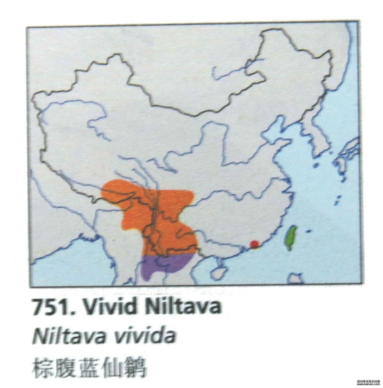 �ظ������l�ĵ����ֲ�ͼ