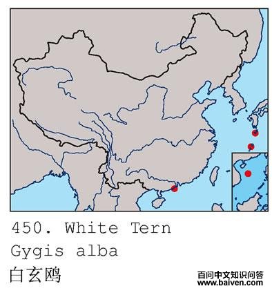 ����Ÿ�ĵ����ֲ�ͼ