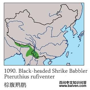 �ظ��V�̵ĵ����ֲ�ͼ