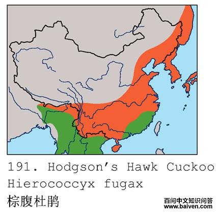 �ظ��ž�ĵ����ֲ�ͼ