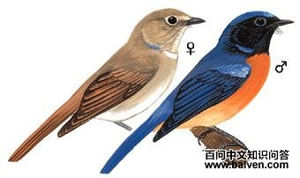 �ظ������l��ͼ��