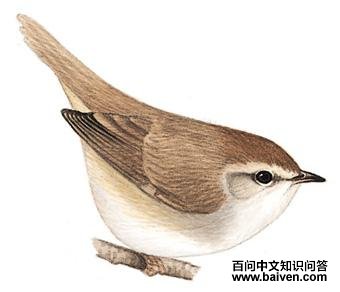 �ض���ݺ��ͼ��