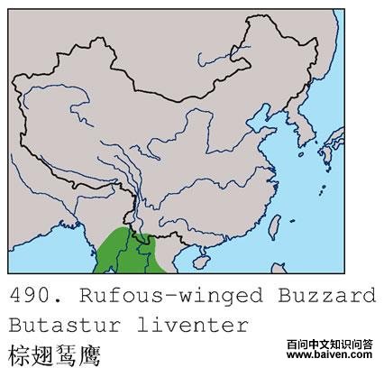 �س��\ӥ�ĵ����ֲ�ͼ