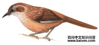 �ز��̵�ͼ��