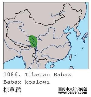 �ز��̵ĵ����ֲ�ͼ