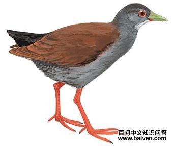 �ر��Ｆ��ͼ��