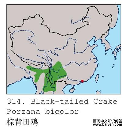 �ر��Ｆ�ĵ����ֲ�ͼ