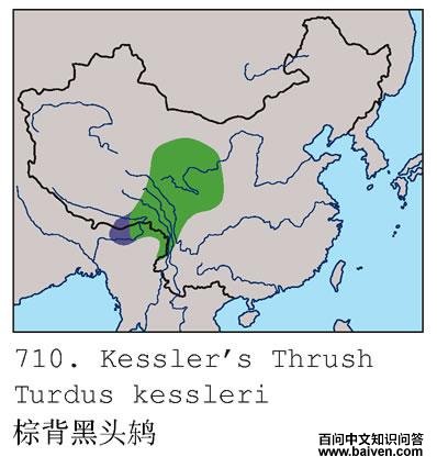 �ر���ͷ�ĵ����ֲ�ͼ