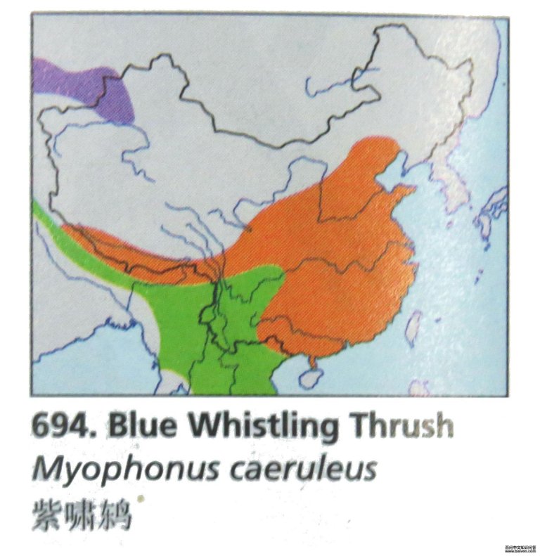 ��Х�ĵ����ֲ�ͼ