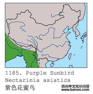 ��ɫ������ĵ����ֲ�ͼ