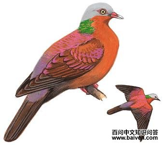 ���ָ��ͼ��