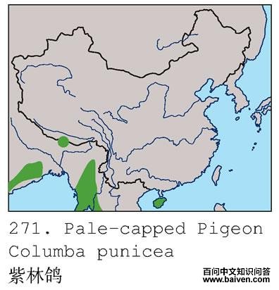 ���ָ�ĵ����ֲ�ͼ