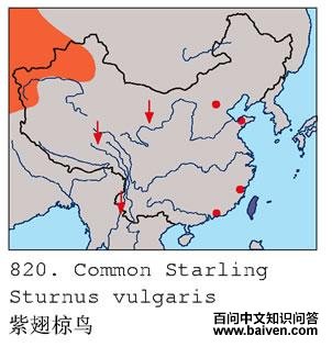 �ϳ����ĵ����ֲ�ͼ