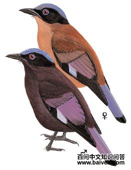 �Ͽ�����ͼ��