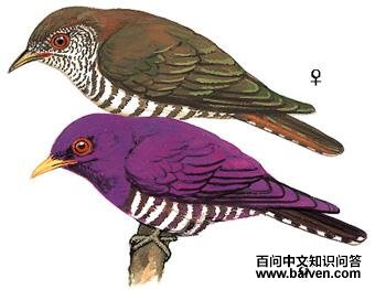 �Ͻ���ͼ��