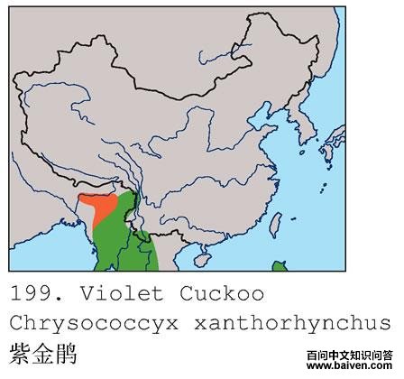 �Ͻ��ĵ����ֲ�ͼ