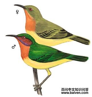 �ϼ�ֱ��̫�����ͼ��