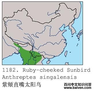 �ϼ�ֱ��̫����ĵ����ֲ�ͼ