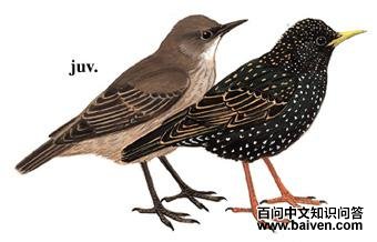 �ϳ�����ͼ��