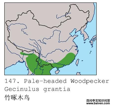 ����ľ��ĵ����ֲ�ͼ