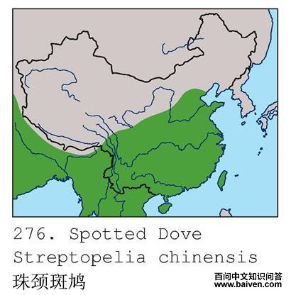 �龱���ĵ����ֲ�ͼ