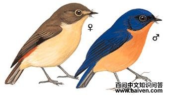 ٪�����l��ͼ��