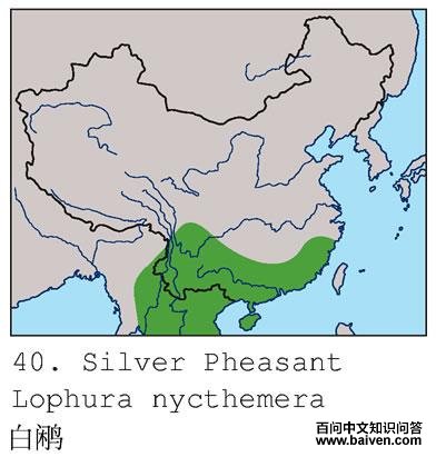 ���µĵ����ֲ�ͼ