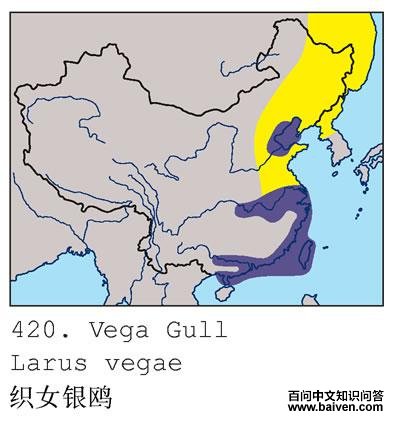 ֯Ů��Ÿ�ĵ����ֲ�ͼ