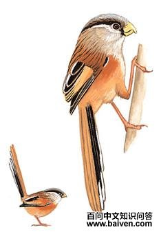 ��ѻȸ��ͼ��