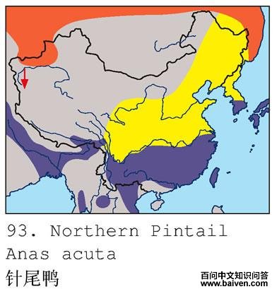 ��βѼ�ĵ����ֲ�ͼ