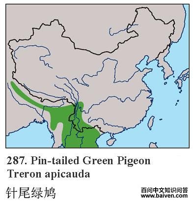 ��β���ĵ����ֲ�ͼ